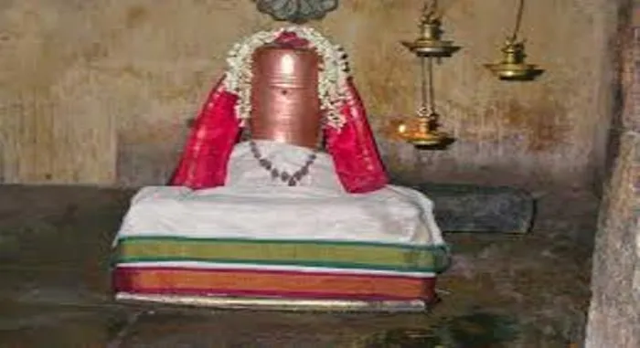 The chanting of the Navagraha chanting is done by the Thirukuvalai Kolilinathar!.