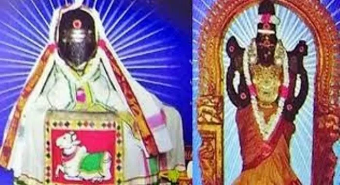 Sri Manathunainathar Temple is a place of healing for mental anguish!.