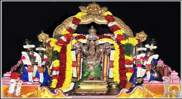 "Neelamegapperumal Temple, Thirukkannapuram!.
